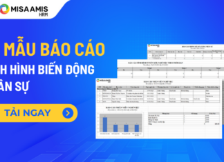 mẫu báo cáo biến động nhân sự