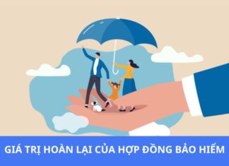 GIA-TRI-HOAN-LAI-CUA-HOP-DONG-BAO-HIEM