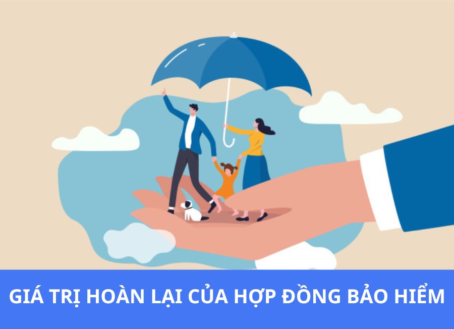 GIA-TRI-HOAN-LAI-CUA-HOP-DONG-BAO-HIEM