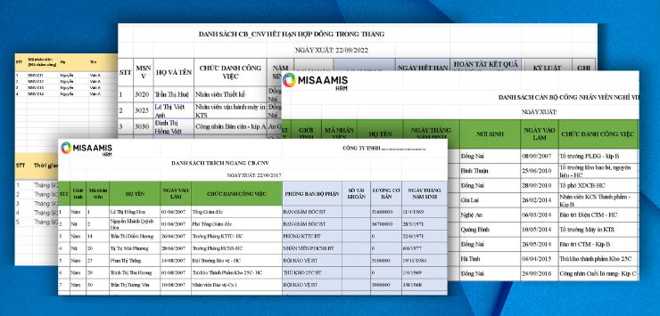 mau-danh-sach-nhan-vien-excel