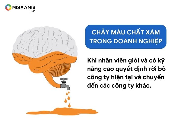 tìm hiểu khái niệm chảy máu chất xám là gì