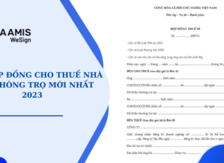 mẫu hợp đồng cho thuê xe