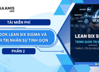 Ebook Lean Six Sigma