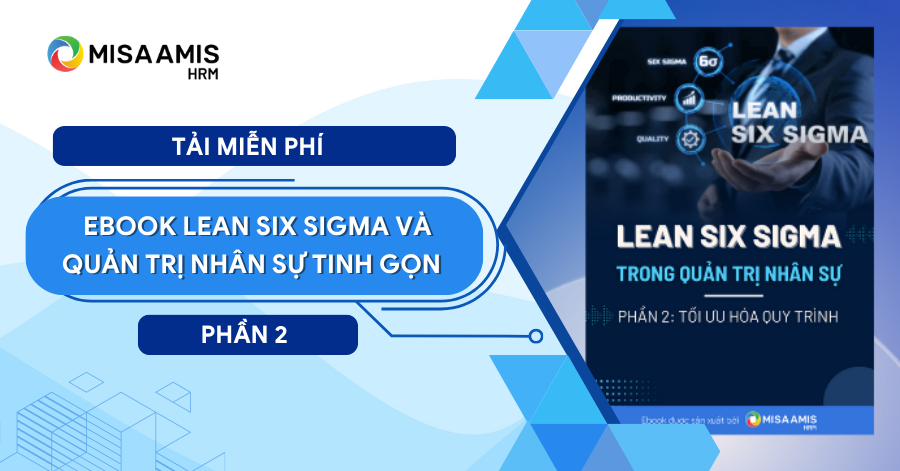Ebook Lean Six Sigma