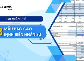 Mẫu báo cáo định biên nhân sự