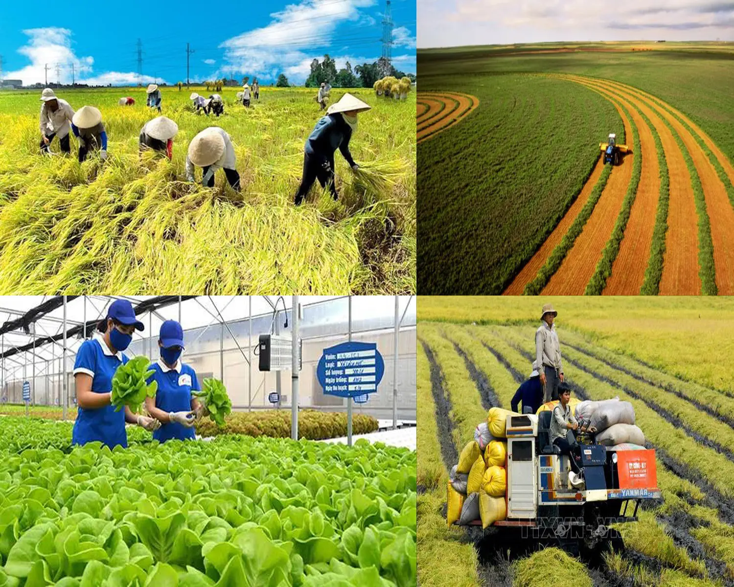 Chuyển đổi số trong nông nghiệp