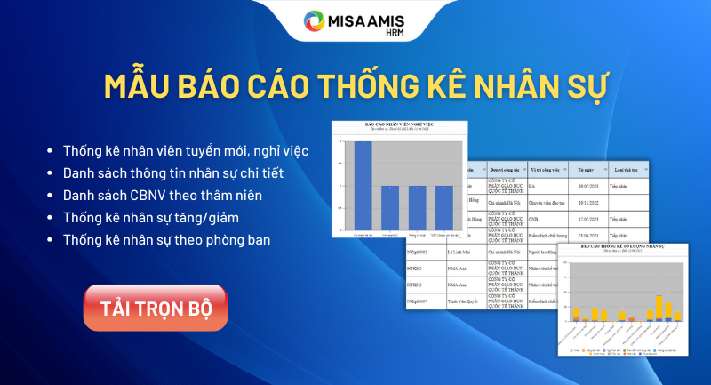 mẫu báo cáo thống kê nhân sự