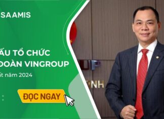 cơ cấu tổ chức tập đoàn Vingroup