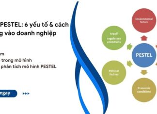 mô hình pestel