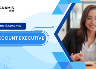 Mô tả công việc Account Executive