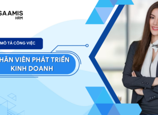 mô tả công việc nhân viên phát triển kinh doanh