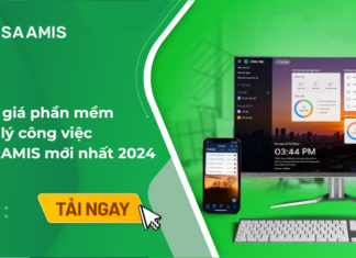 báo giá misa amis công việc 2024