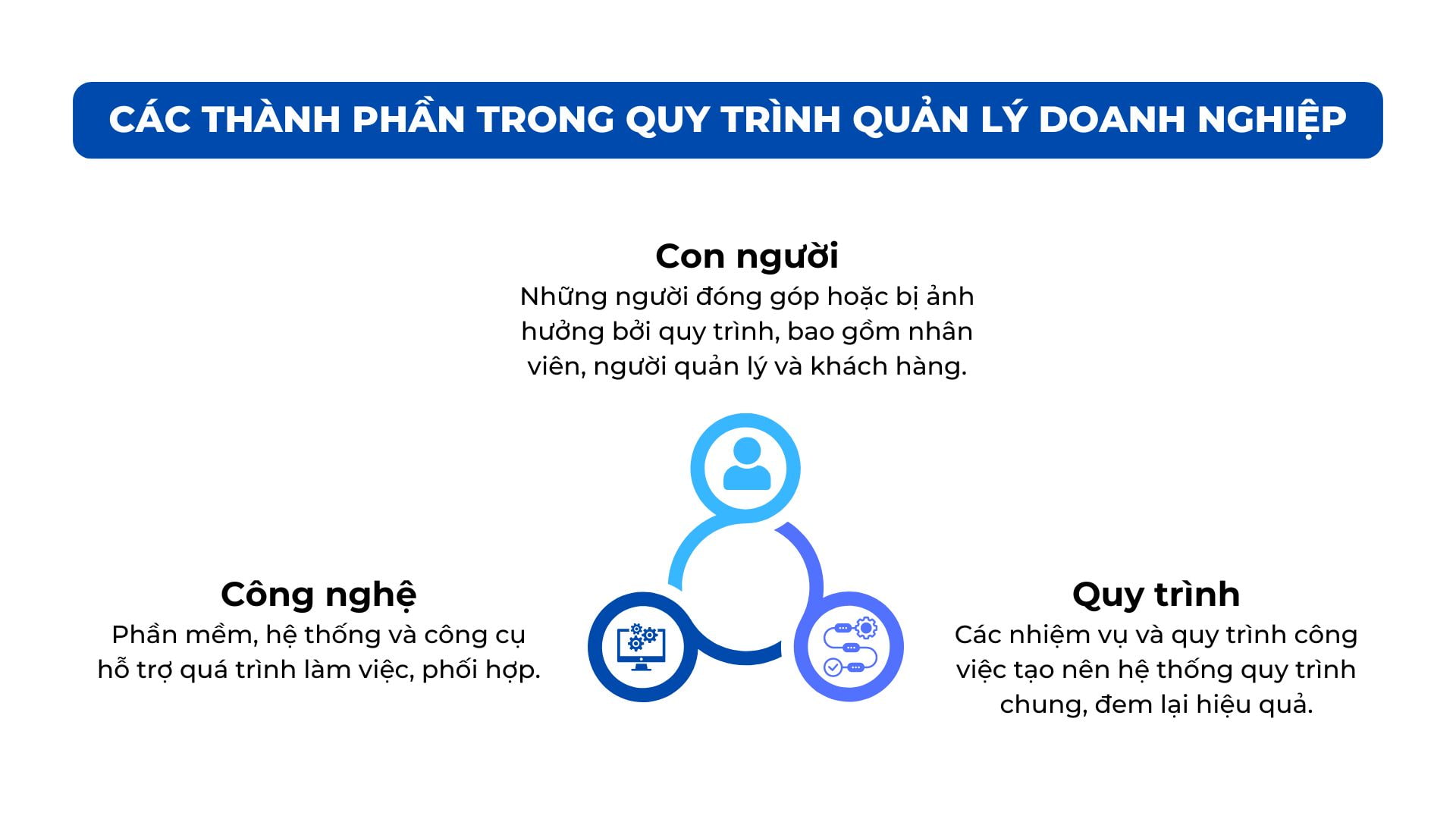 các thành phần trong quy trình quản lý doanh nghiệp