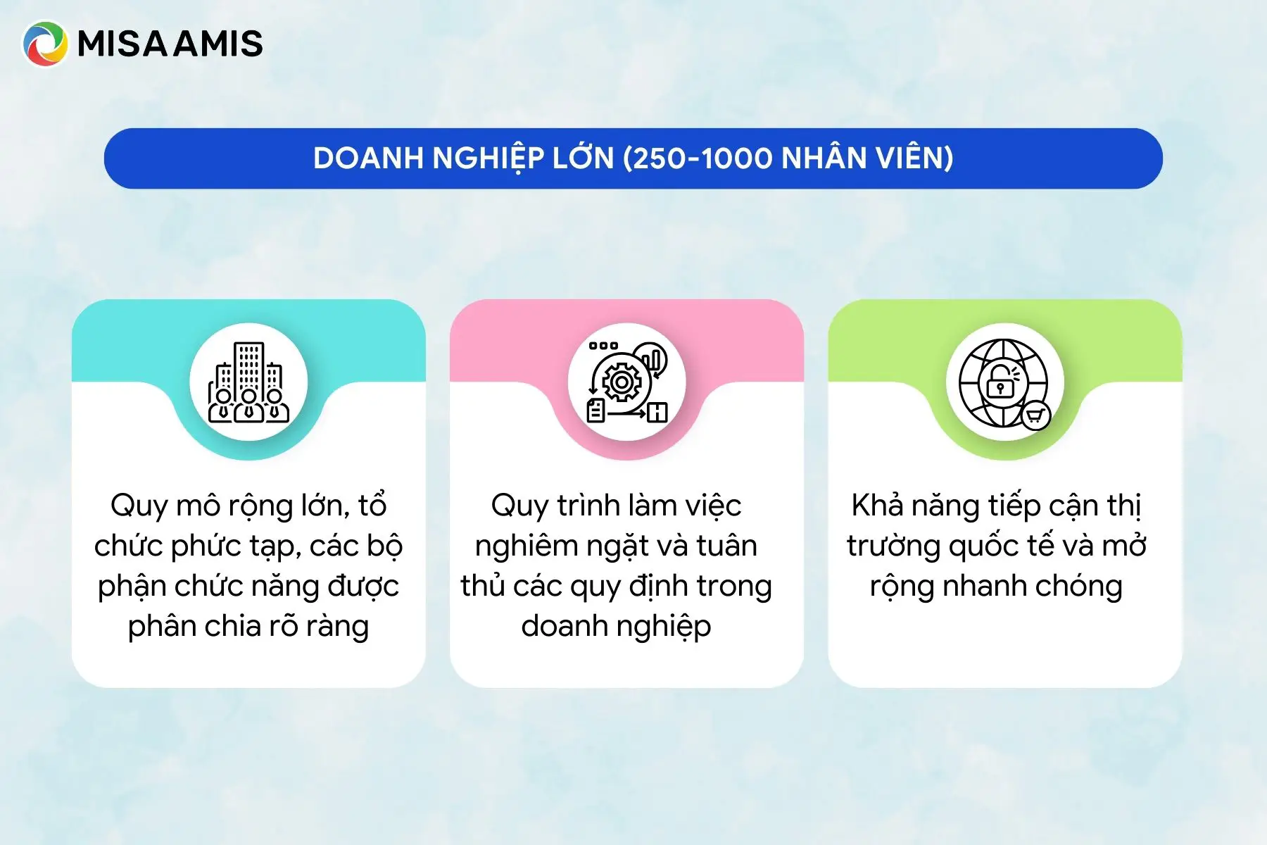 Đặc điểm của doanh nghiệp lớn