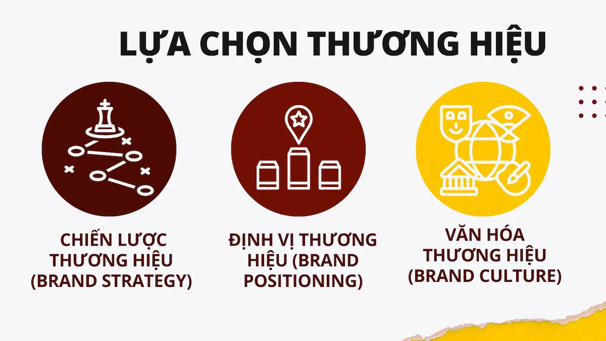 Lựa chọn thương hiệu