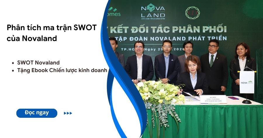 mô hình swot của novaland