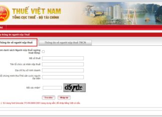 tra cứu hộ kinh doanh cá thể