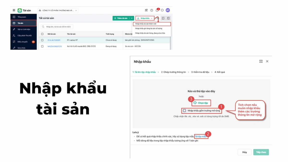 Nhập khẩu tài sản