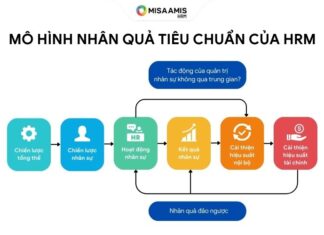 mô hình nhân quả tiêu chuẩn