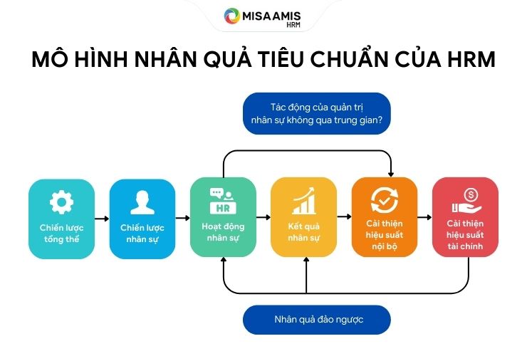 mô hình nhân quả tiêu chuẩn