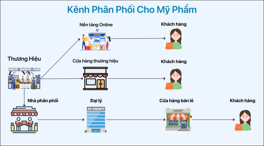 sơ đồ kênh phân phối cho mỹ phẩm