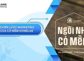 chien-luoc-marketing-cua-co-mem-home-lab