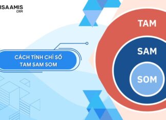 giới thiệu chỉ số TAM SAM SOM