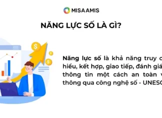 Khái niệm năng lực số