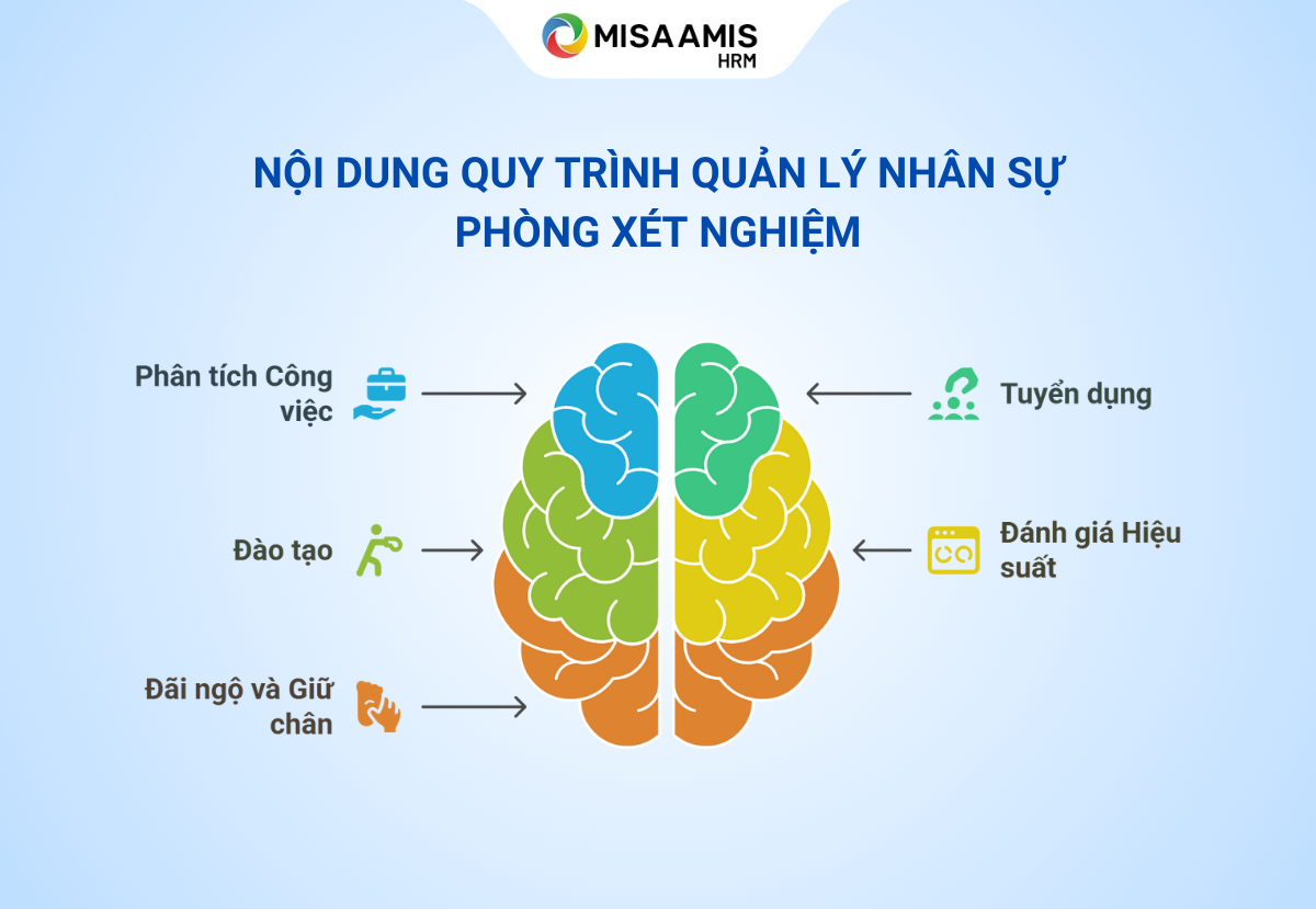 quy-trinh-quan-ly-nhan-su-phong-xet-nghiem
