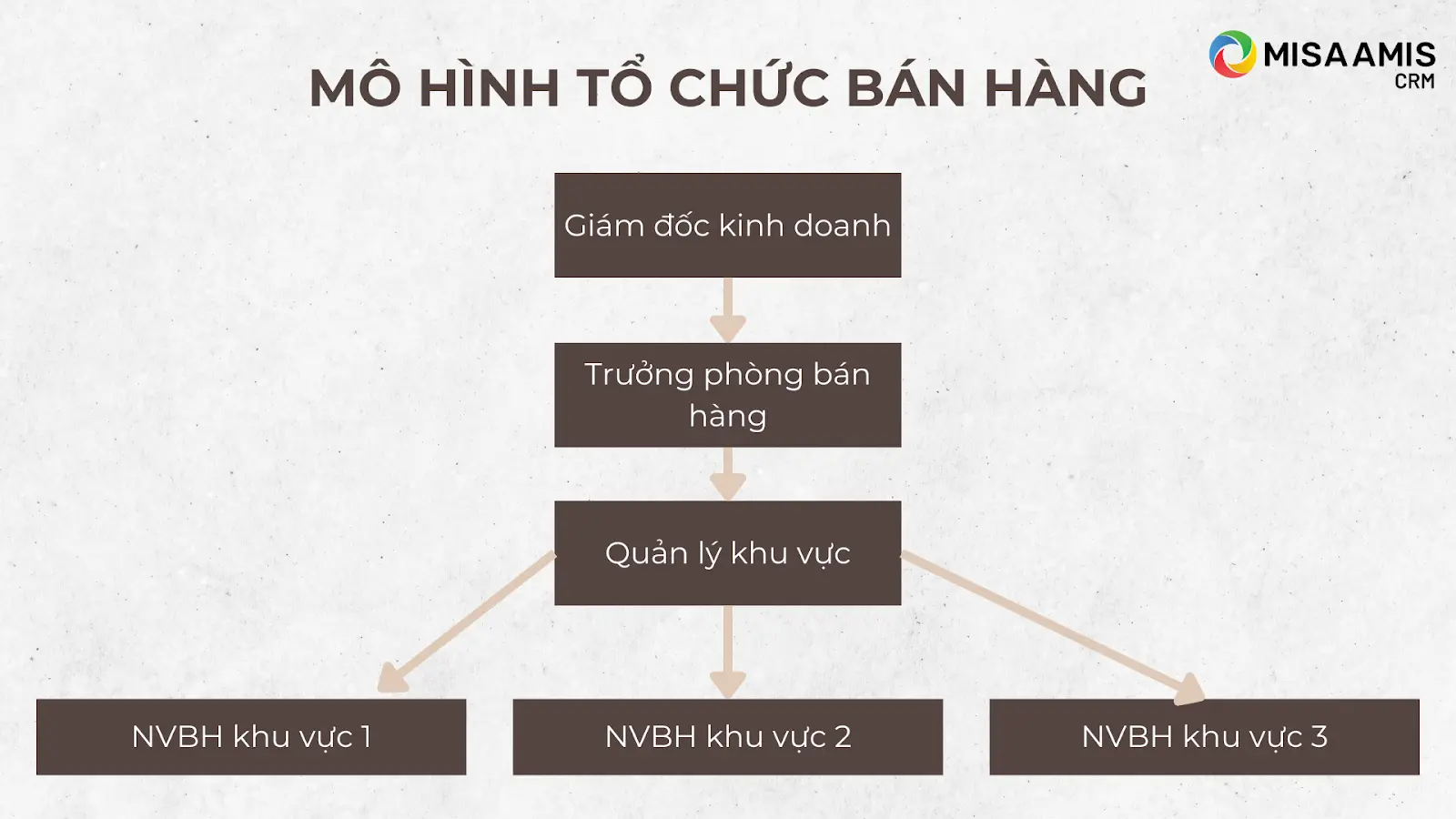 Mô hình tổ chức bán hàng