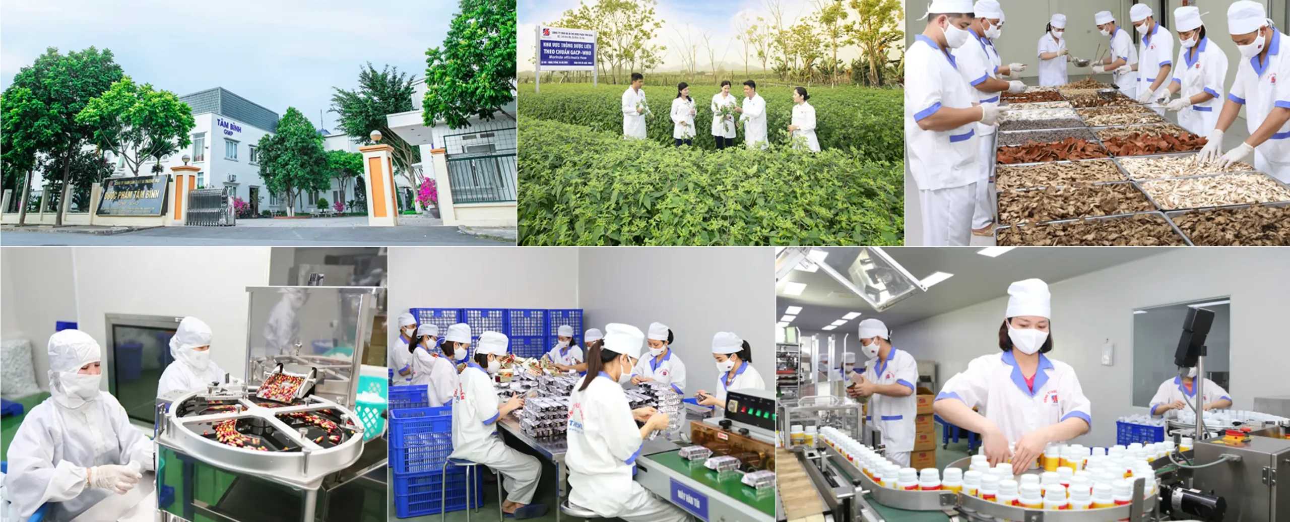 Dược phẩm Tâm Bình