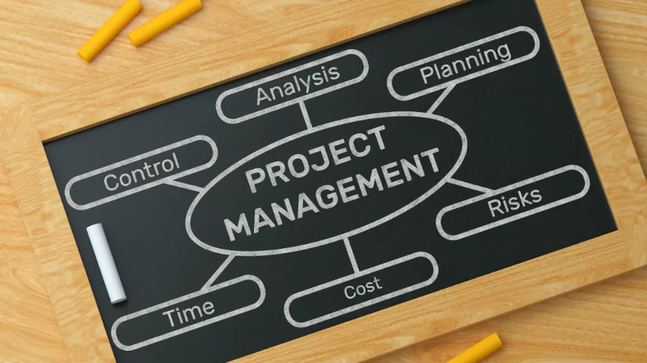 project manager