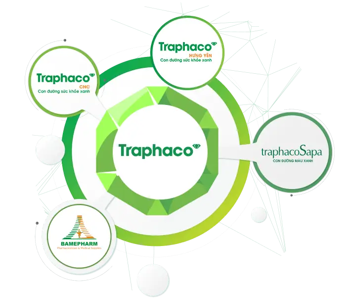 4 đơn vị thành viên của TRAPHACO