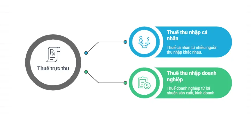Các loại thuế trực thu phổ biến