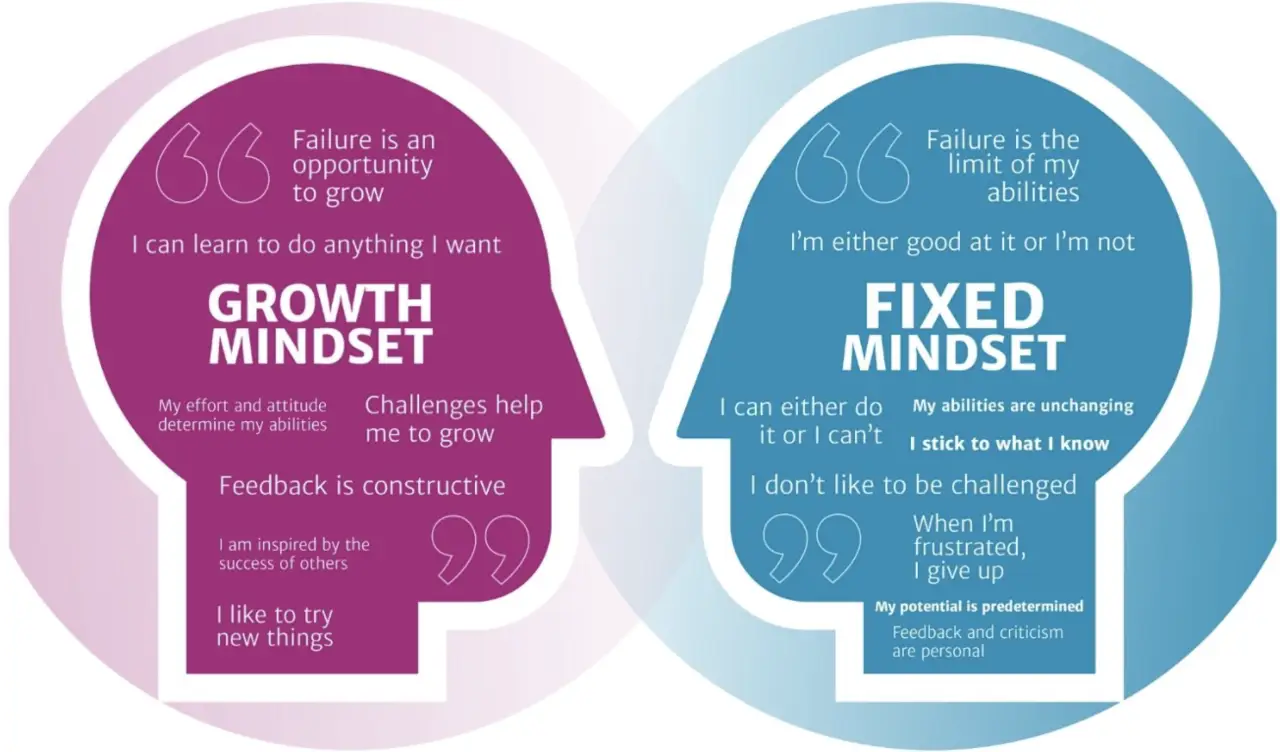 Các loại mindset phổ biến