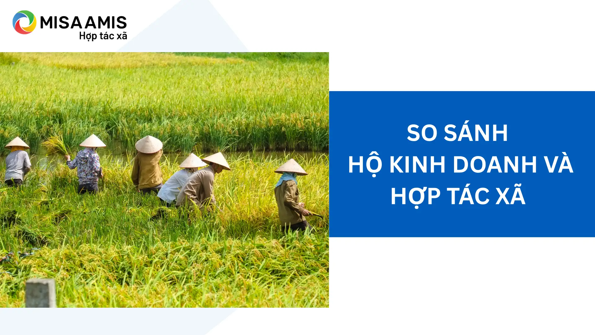 So sánh hộ kinh doanh và hợp tác xã