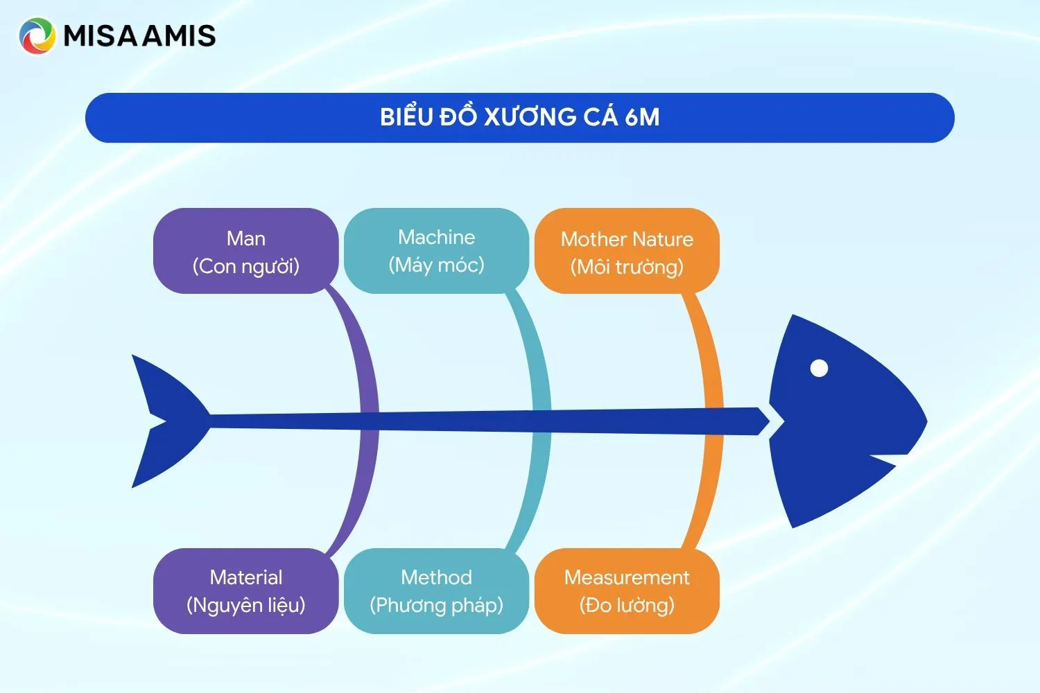 Biểu đồ xương cá 6M