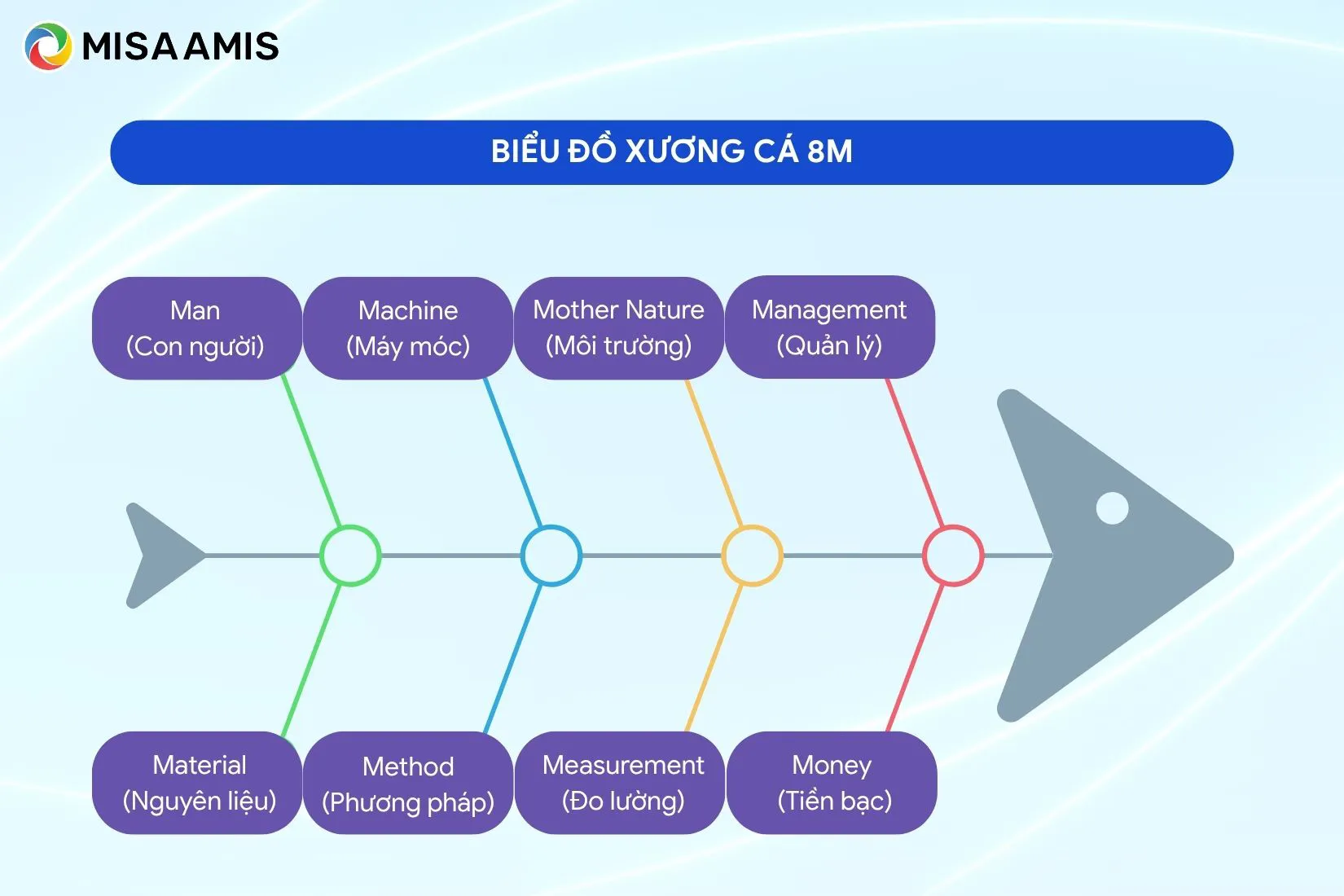 biểu đồ xương cá 8M